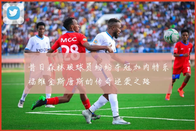 昔日森林狼球员纷纷夺冠加内特乐福维金斯唐斯的传奇逆袭之路
