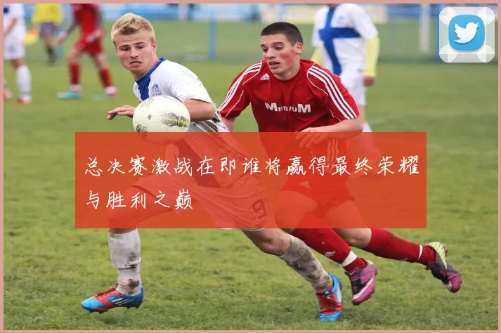 总决赛激战在即谁将赢得最终荣耀与胜利之巅